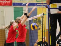 Dippold-Volleyball Turnier 2015